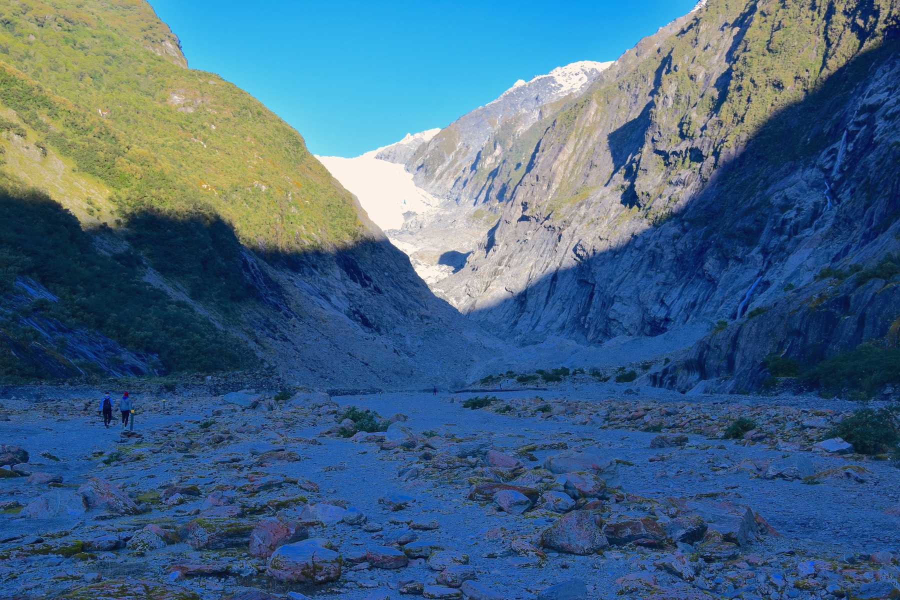 Franz-Josef-Gletscher